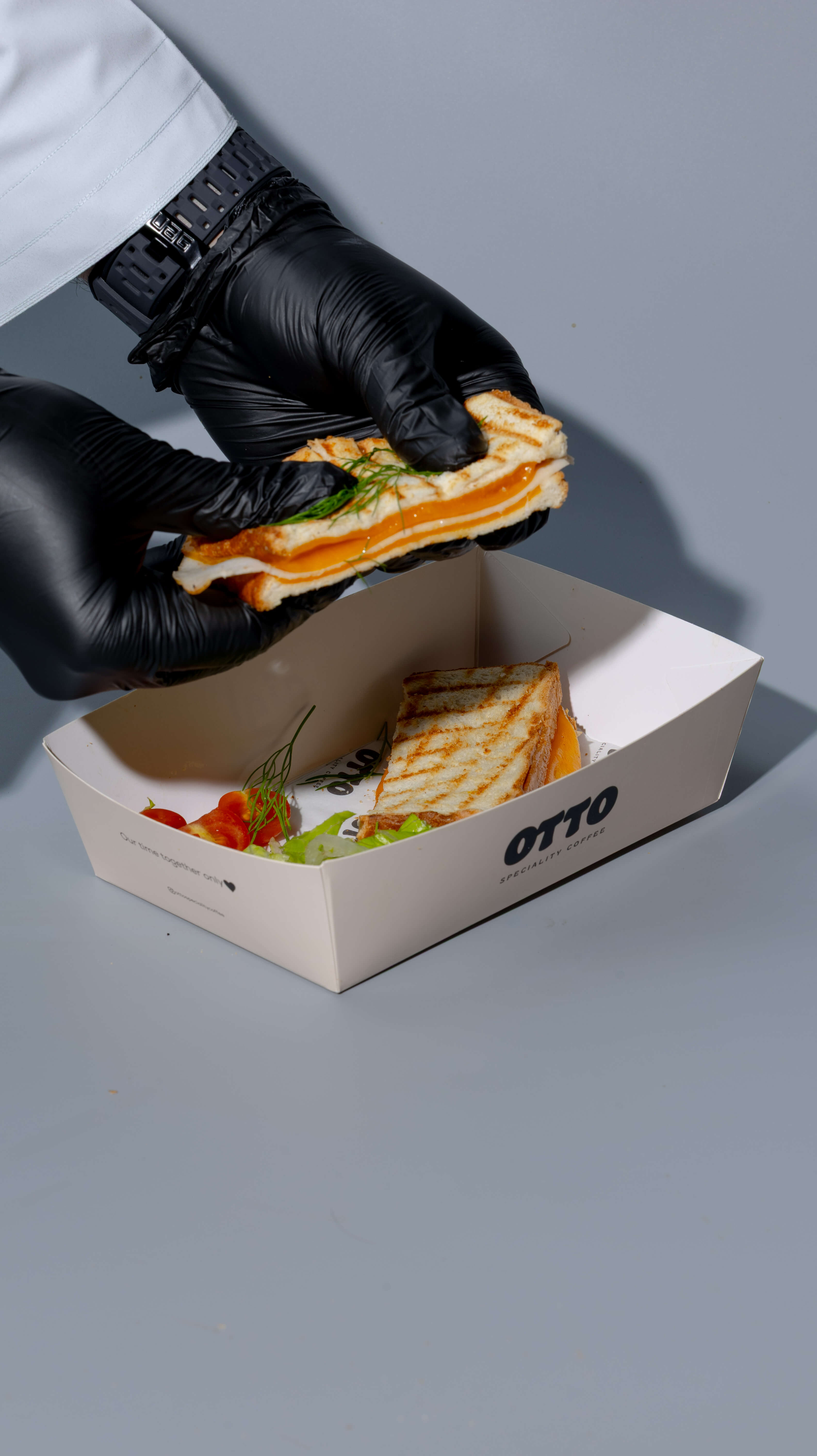 Cheese & Turkey Toast